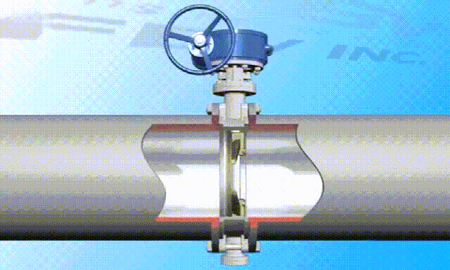 1631936294474231.gif 5.gif